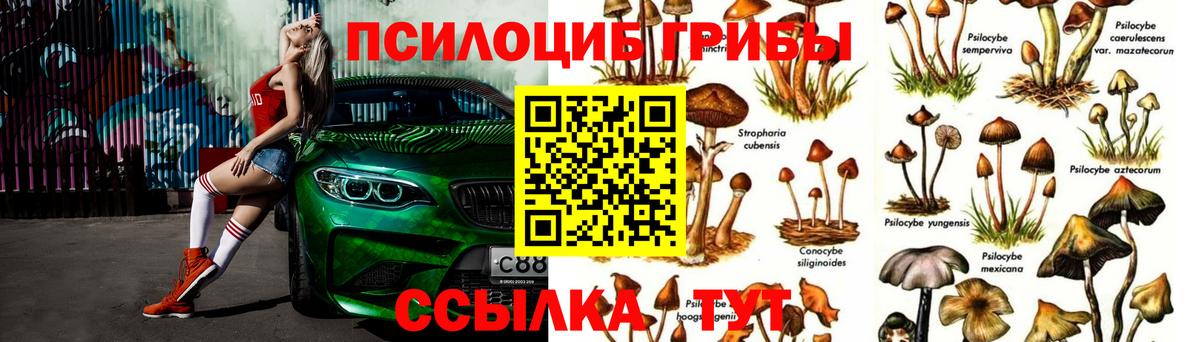 Псилоцибиновые грибы мицелий Ивантеевка